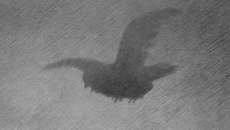 Lyric video for Blackest Crow